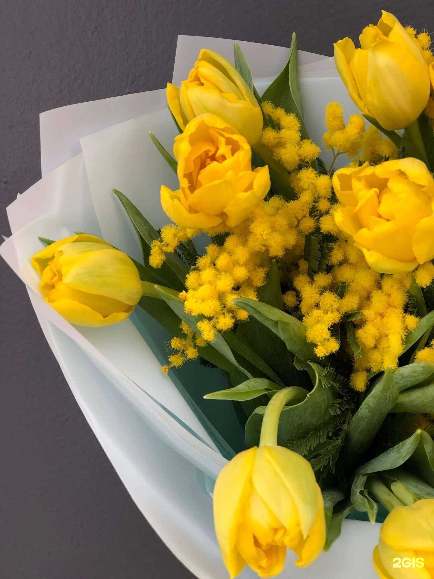 Отзывы на компанию Камелия в Твери c фото