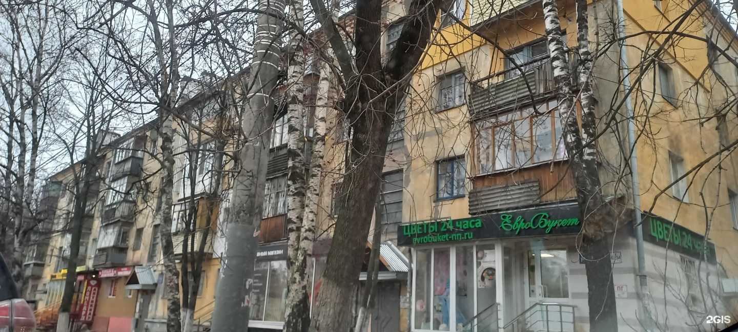 Отзывы на компанию Гнать в Нижнем Новгороде c фото - фотография 2 из 2