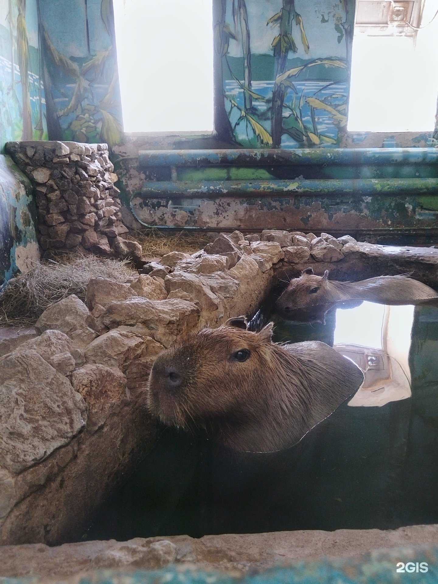 Отзывы на компанию Тюменский дом кино в Тюмени c фото