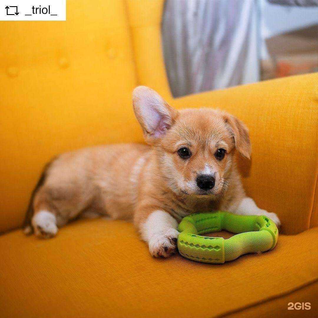 Отзывы на компанию Марсик в Краснодаре c фото