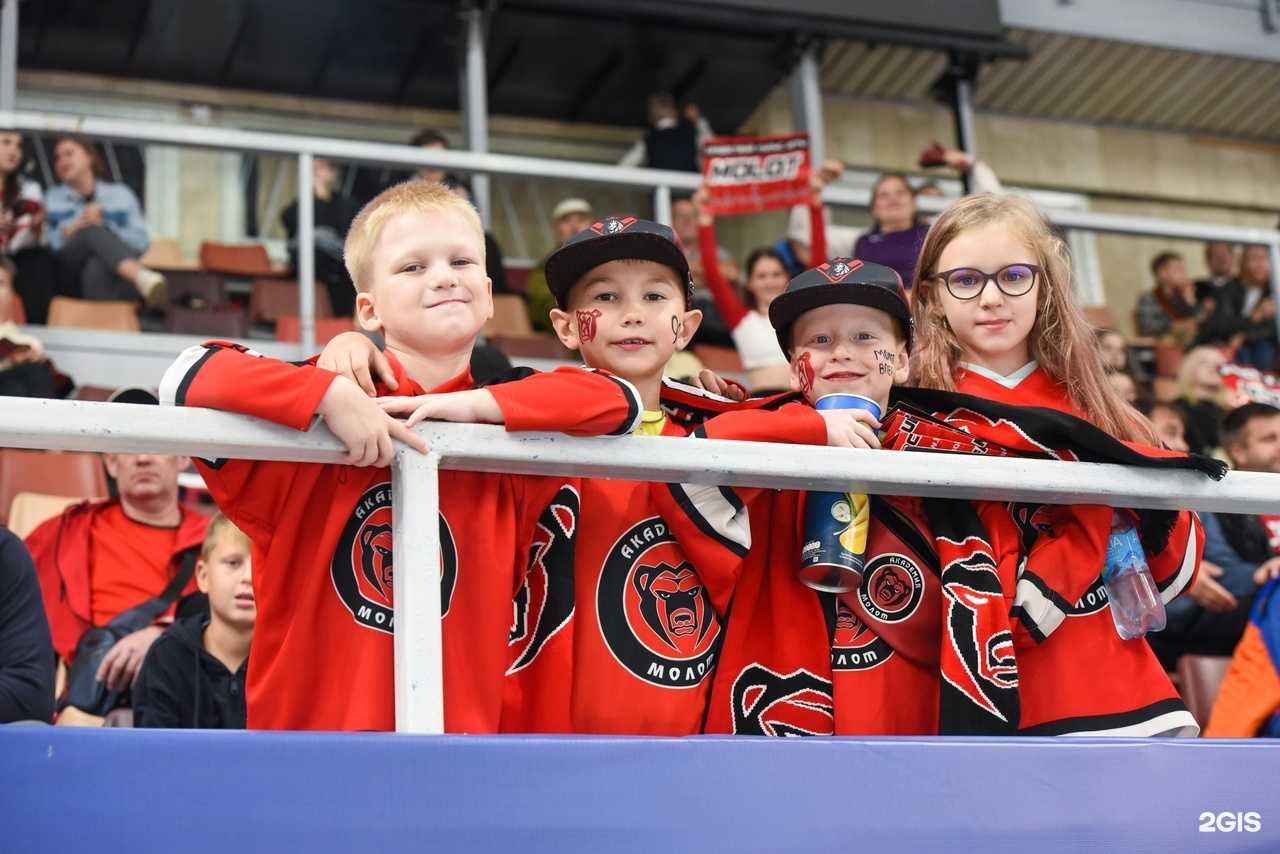 Отзывы на компанию Surus в Красноярске c фото