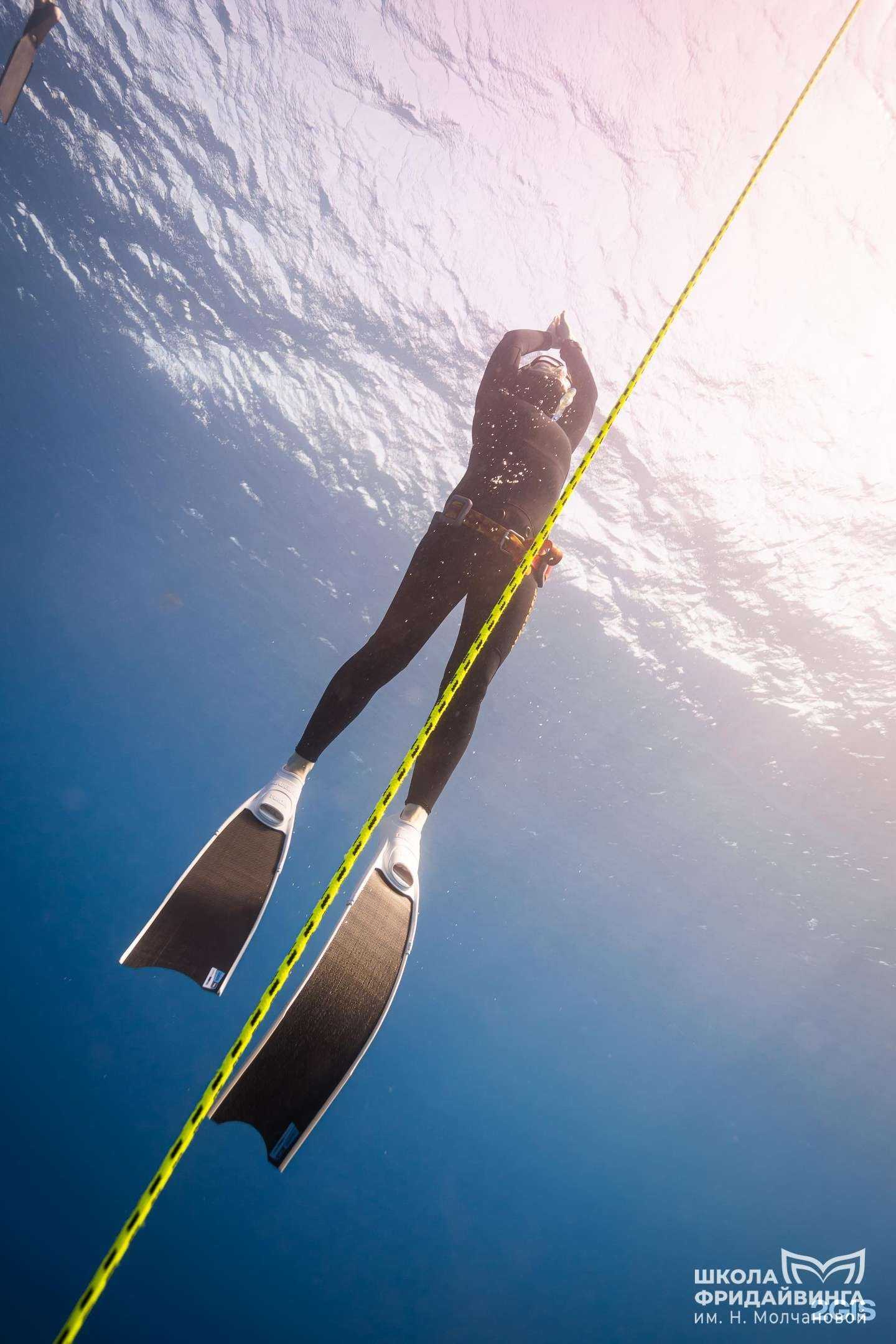 Отзывы на компанию Моё Море в Красноярске c фото