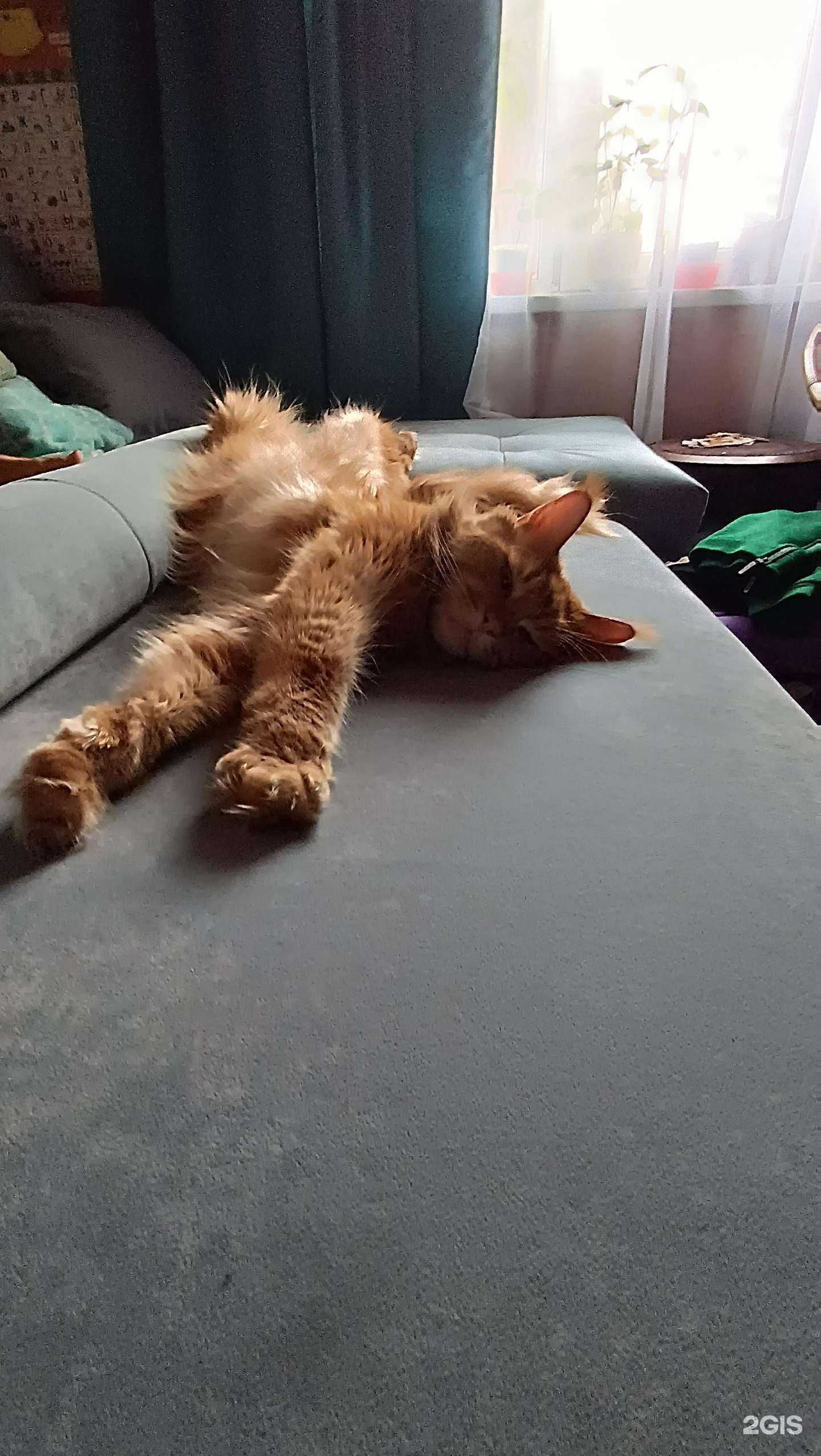 Отзывы на компанию Валенти в Новосибирске c фото