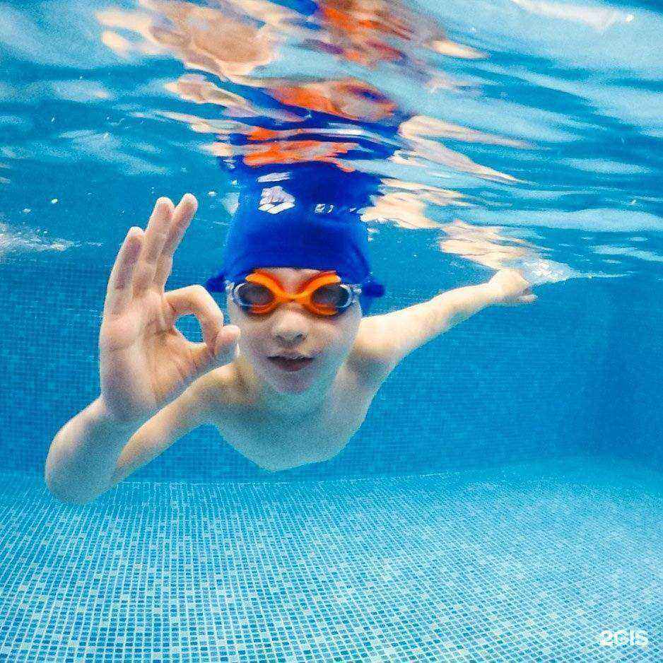 Отзывы на компанию Звездочка в г. Иркутск c фото