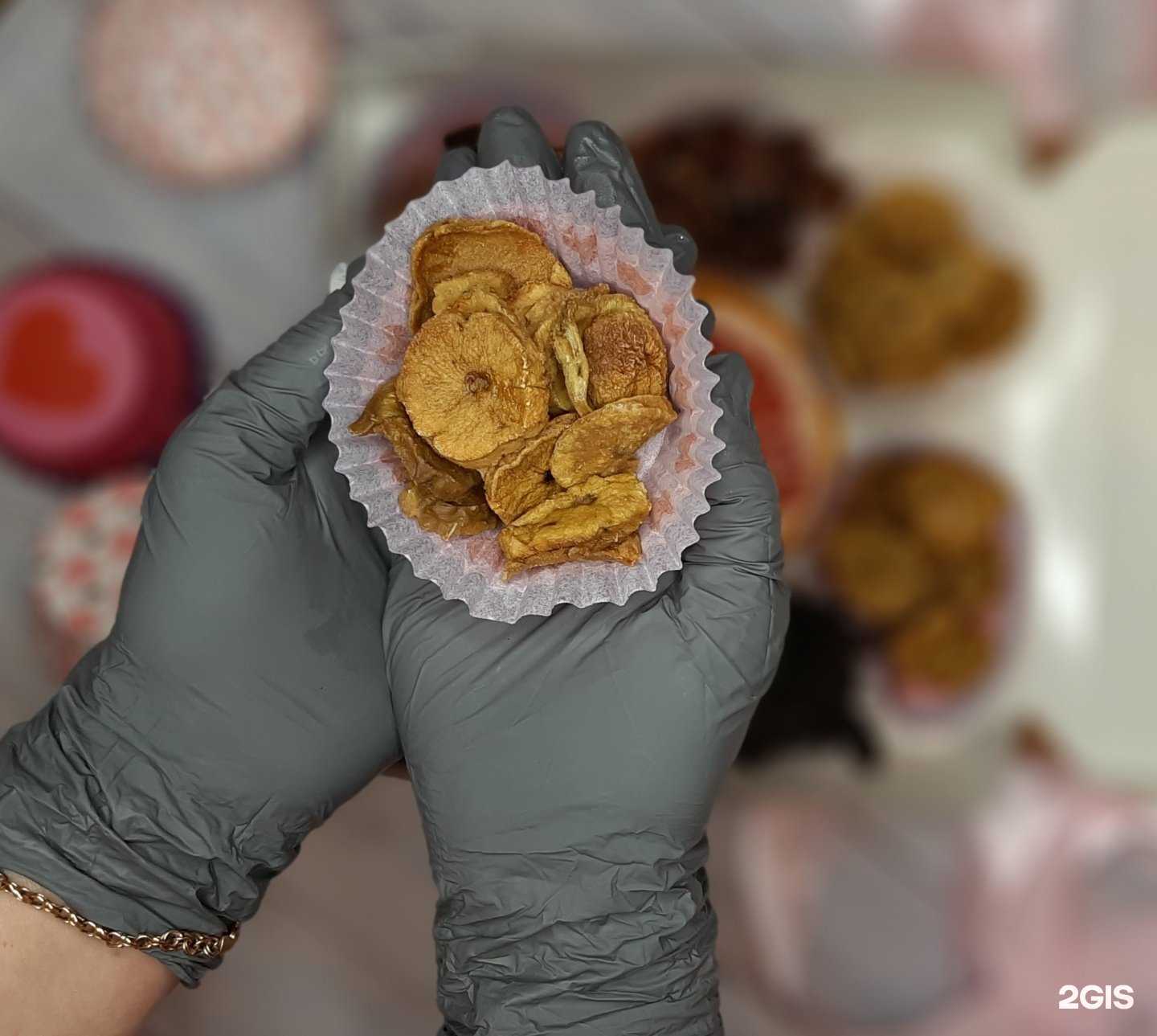 Отзывы на компанию Petjoy в Саратове c фото