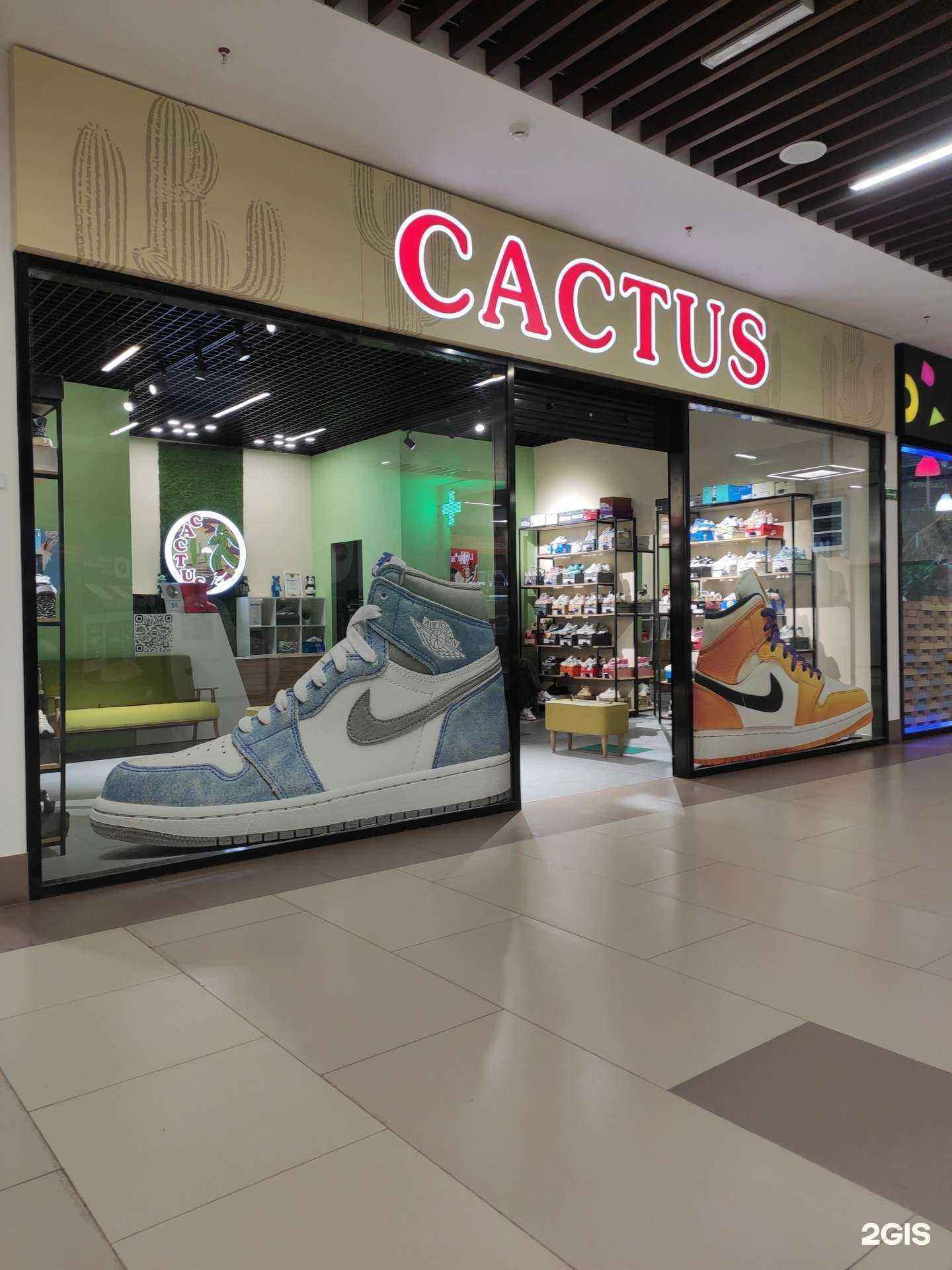 Отзывы на компанию Cactus в г. Ковров c фото