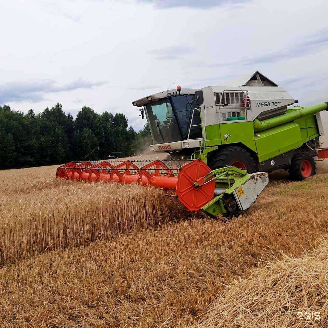 Отзывы на компанию Сеймовская птицефабрика в г. Дзержинск c фото