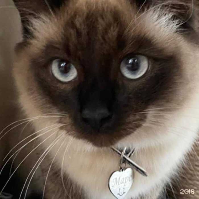 Отзывы на компанию LaserSkills в г. Казань c фото