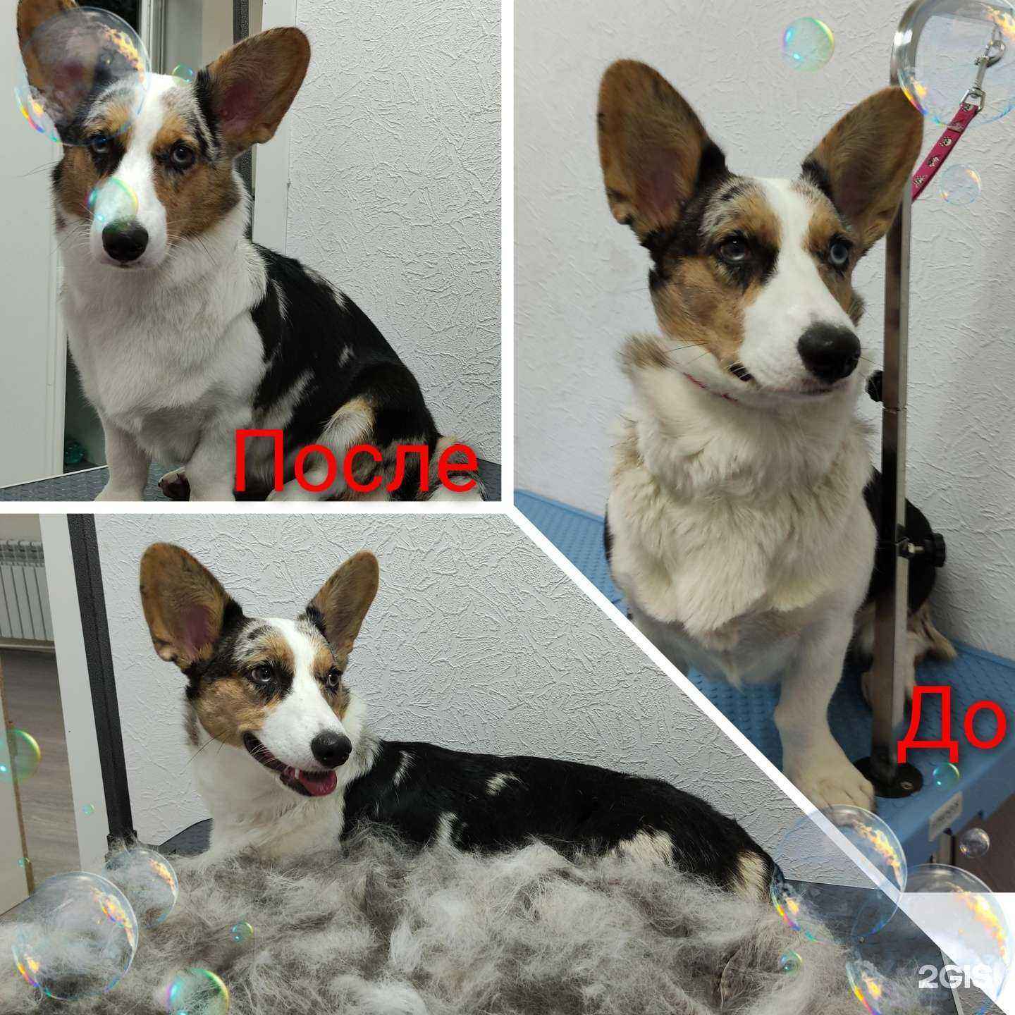 Отзывы на компанию Берелена в г. Пушкино c фото