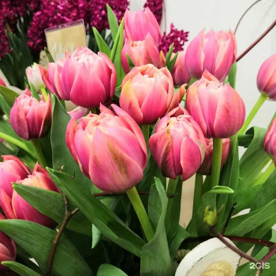 Отзывы на компанию Радуга в г. Егорьевск c фото