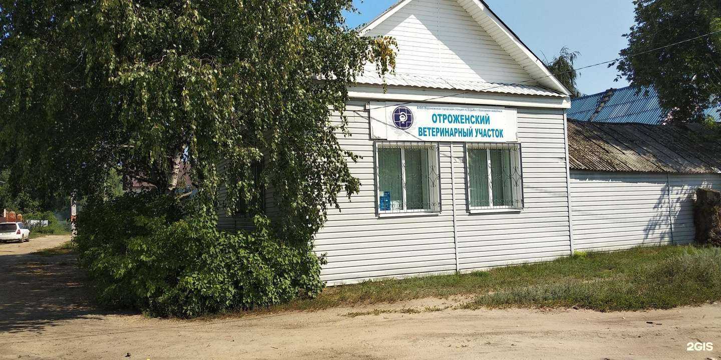 Отзывы на компанию Воронежская городская станция по борьбе с болезнями животных в Воронеже c фото
