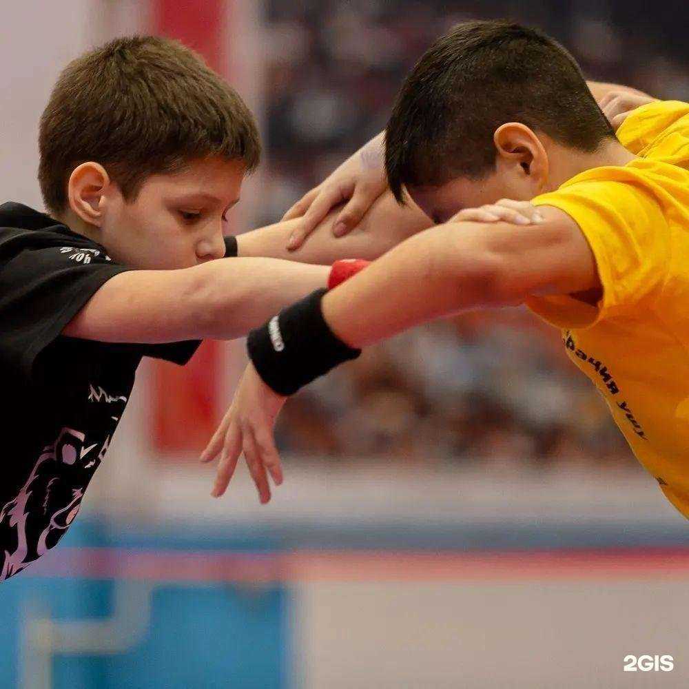 Отзывы на компанию Ушу в г. Челябинск c фото