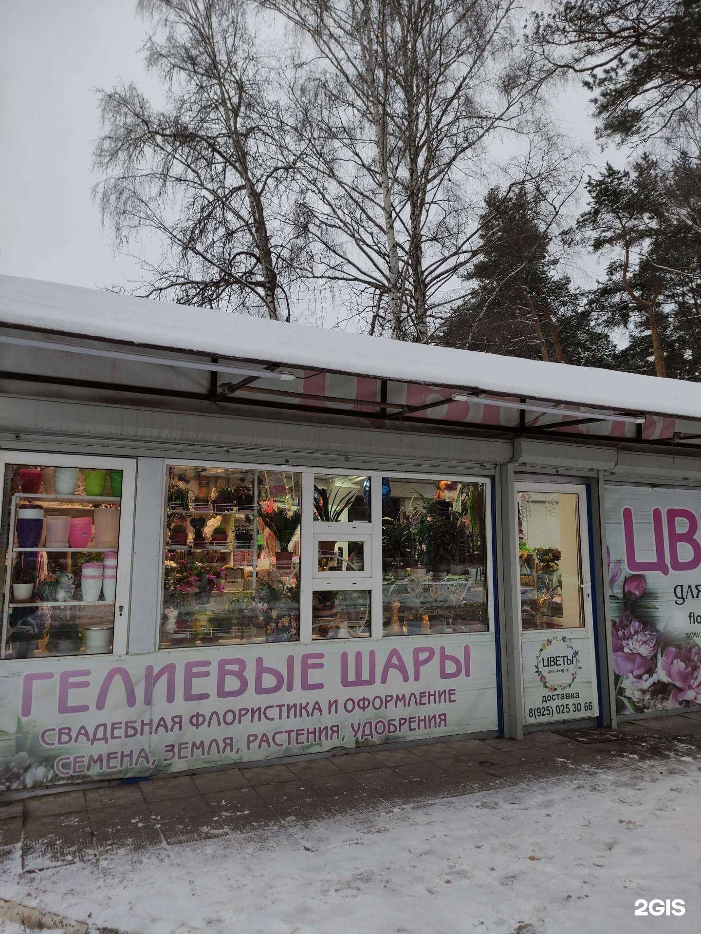 Отзывы на компанию Цветочный домик в г. Балашиха c фото