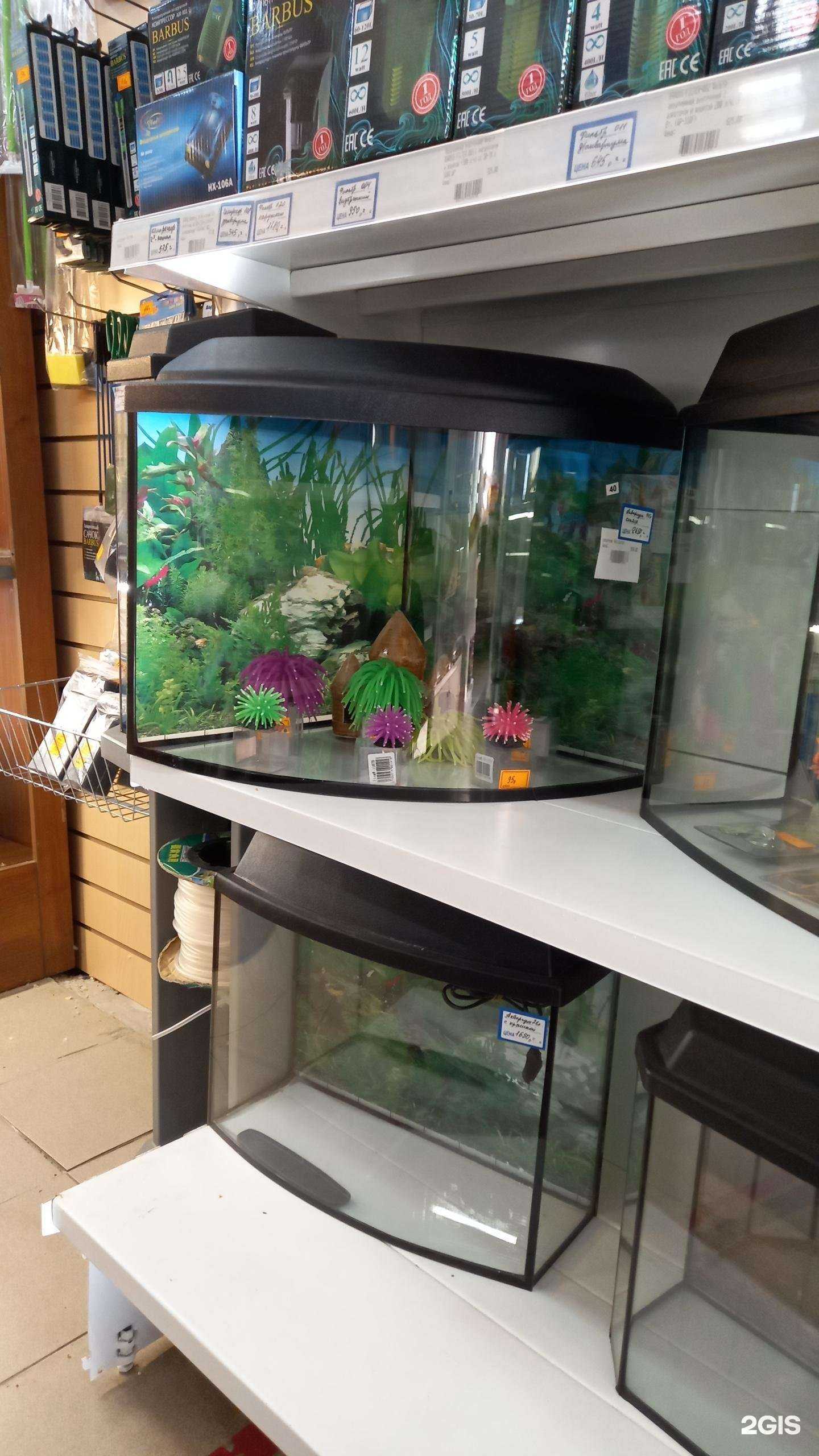 Отзывы на компанию Лисенок в Казани c фото