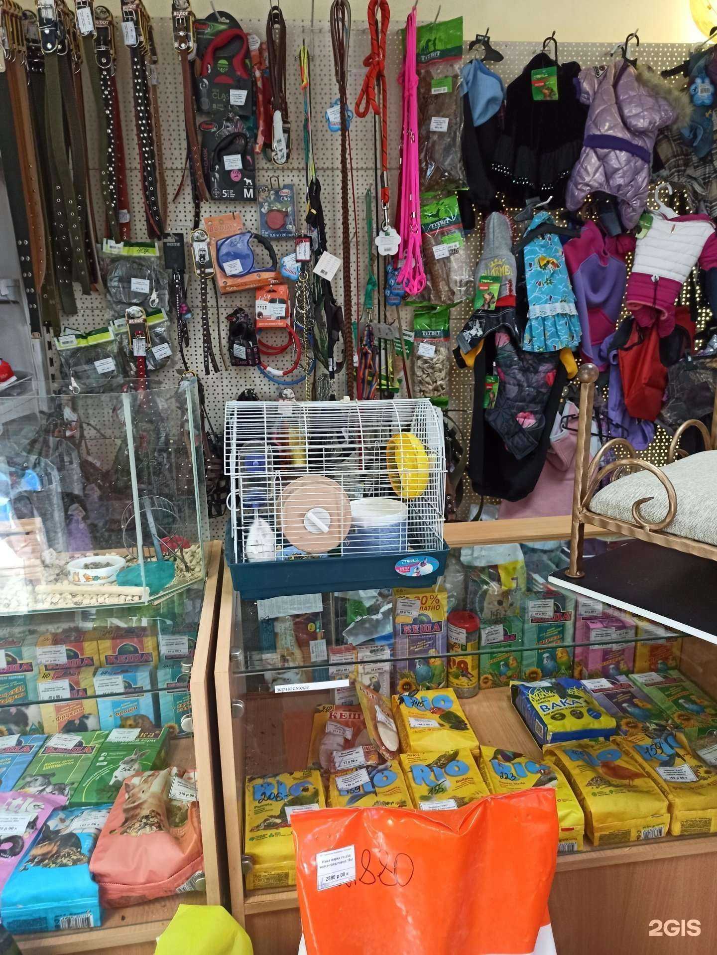 Отзывы на компанию Айболит в Магнитогорске c фото