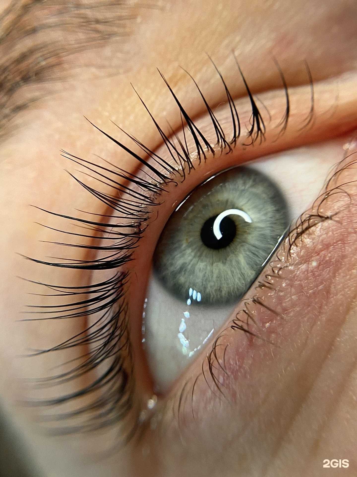 Отзывы на компанию Goleva_brow в Воронеже c фото