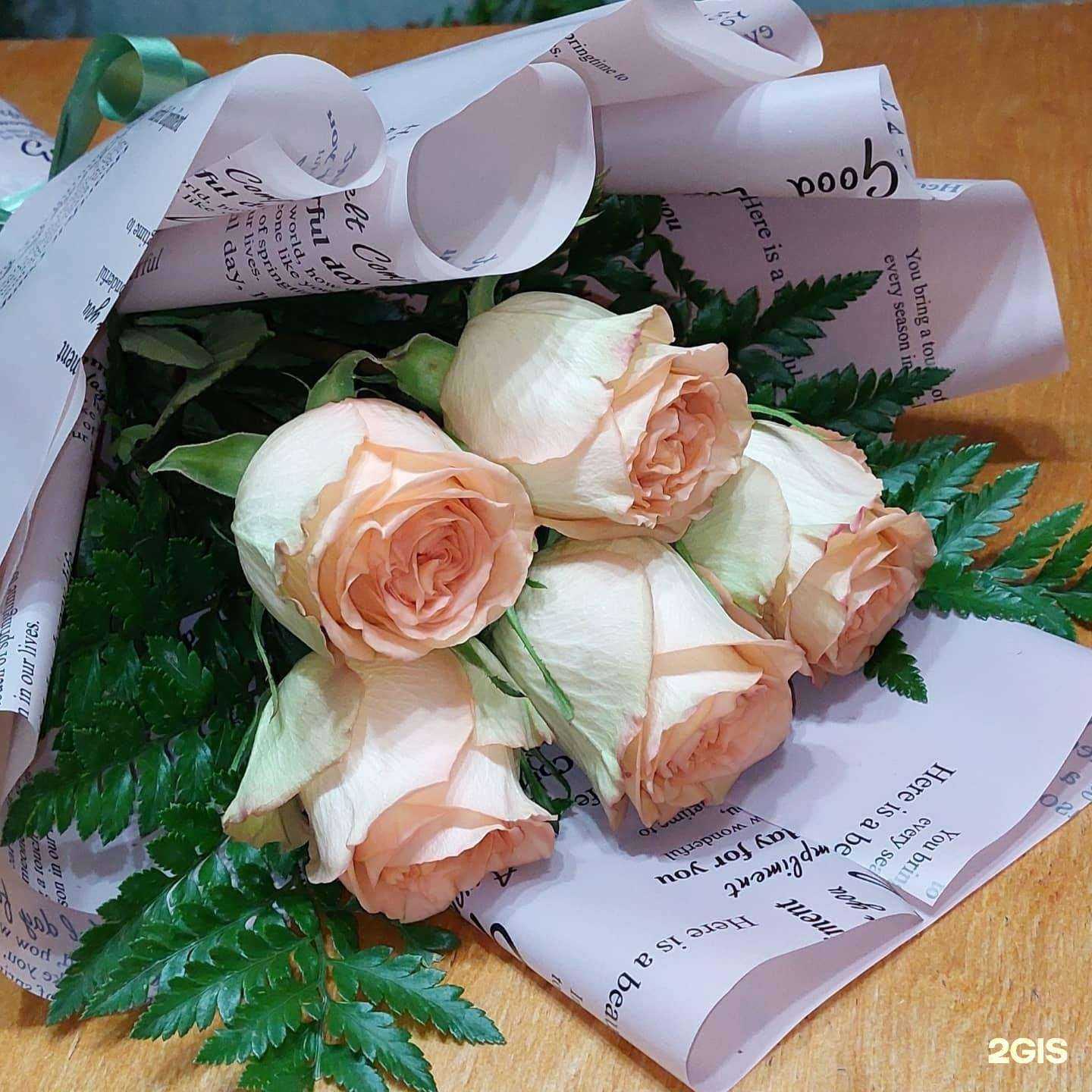 Отзывы на компанию Эдельвейс в Астрахани c фото