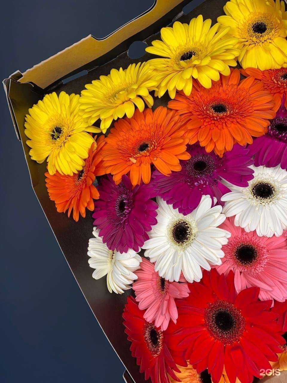 Отзывы на компанию Опт крылья букетов в Барнауле c фото