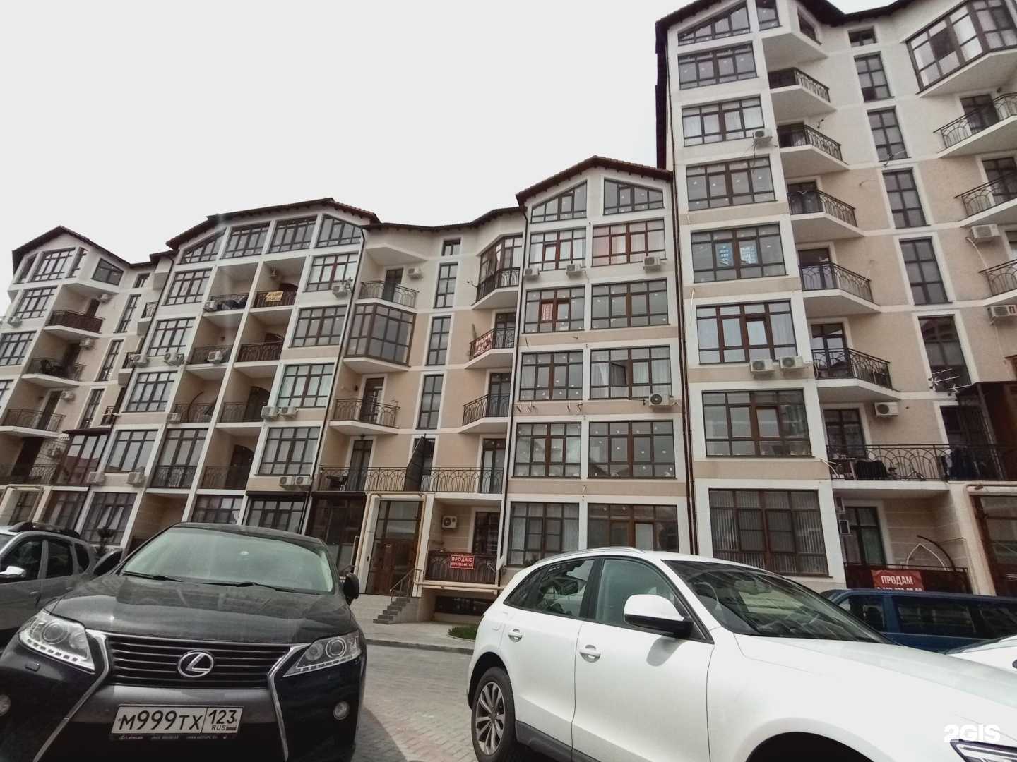 Отзывы на компанию Rozcvetyt sharit в Геленджике c фото