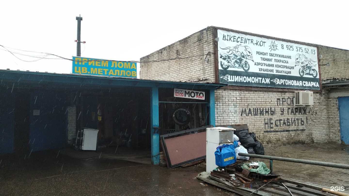 Отзывы на компанию Кот в Балашихе c фото