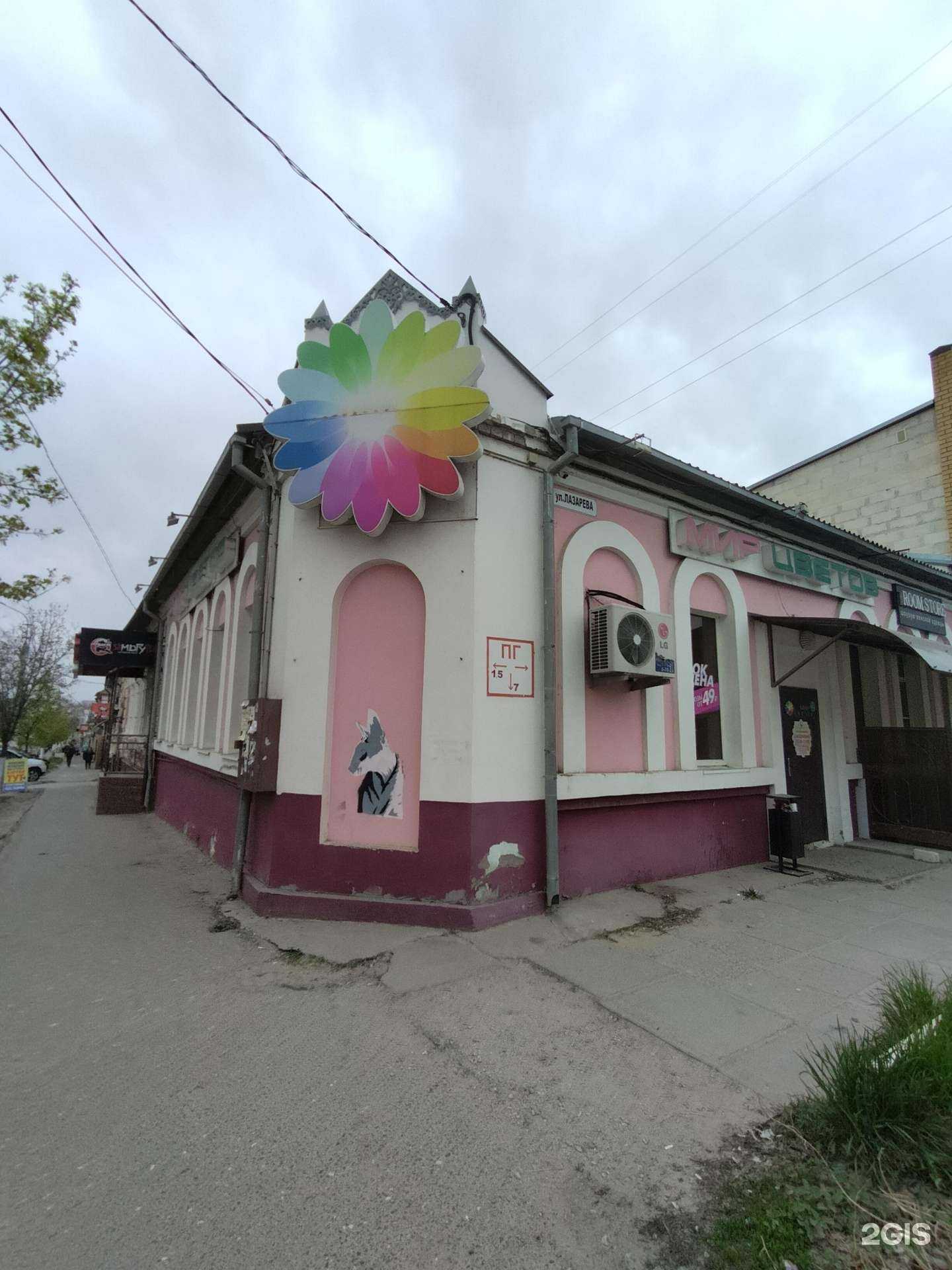 Отзывы на компанию Мир цветов в Камышине c фото - фотография 2 из 2