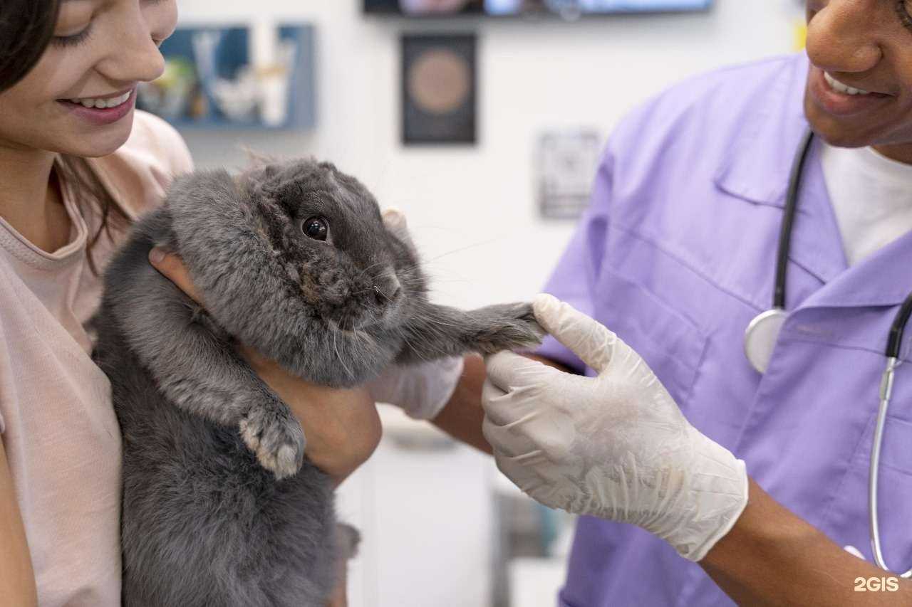 Отзывы на компанию Балу в г. Новосибирск c фото
