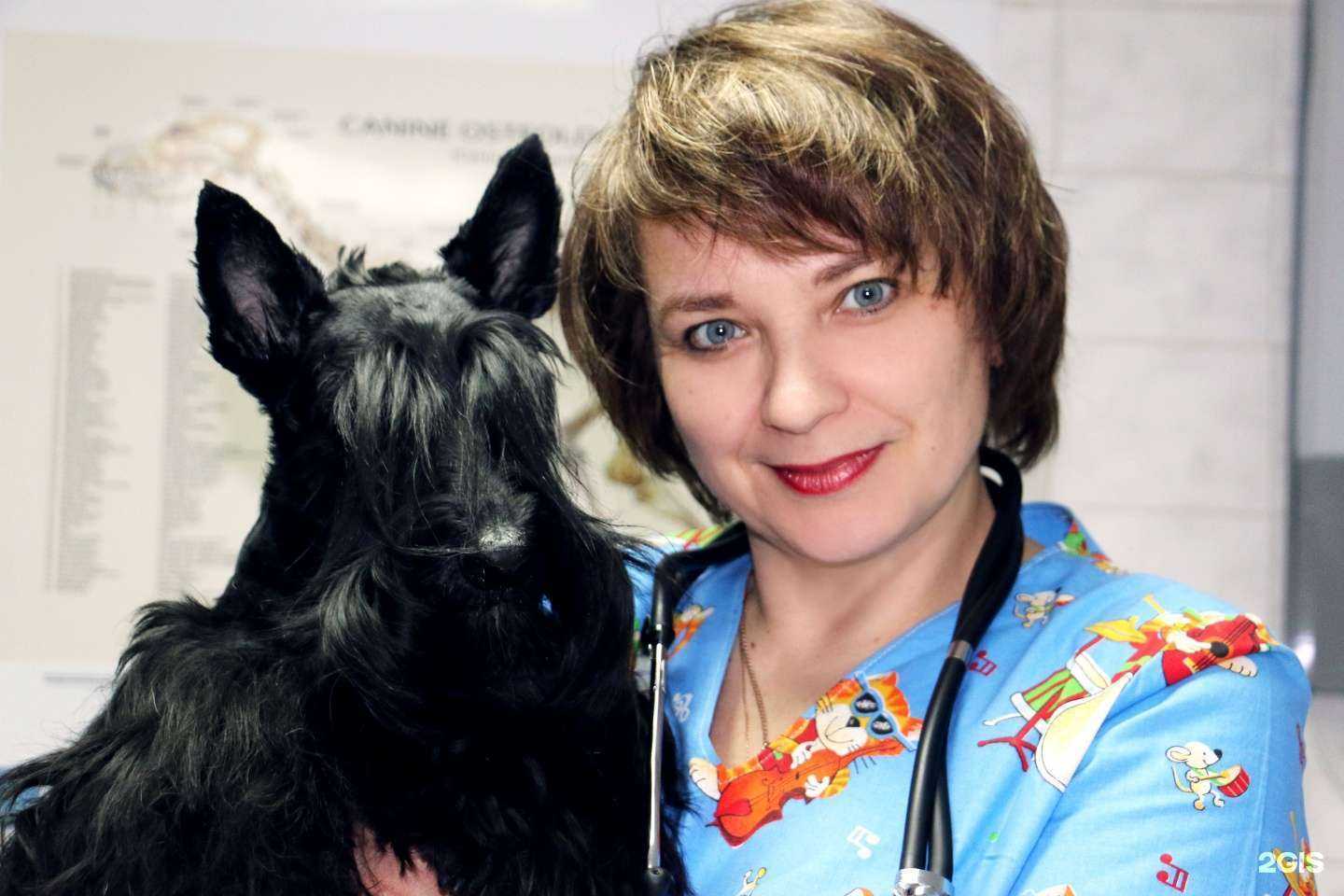 Отзывы на компанию 9 Жизней в Новороссийске c фото