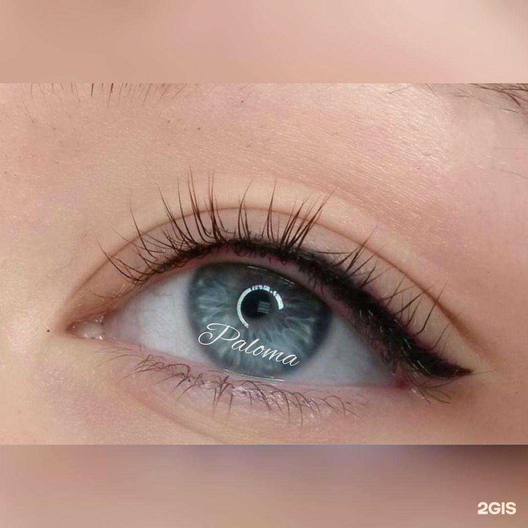 Отзывы на компанию Paloma в Сочи c фото