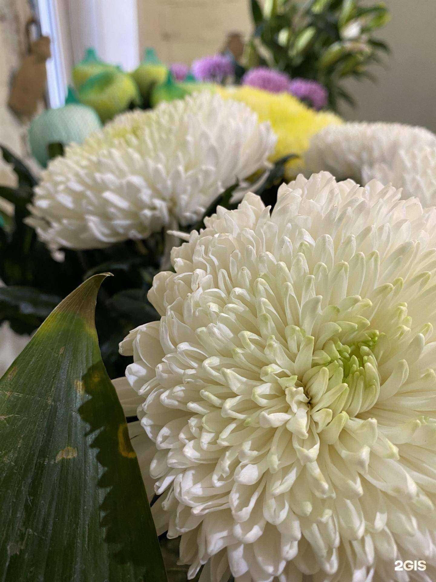 Отзывы на компанию Krasflovers в г. Красноярск c фото