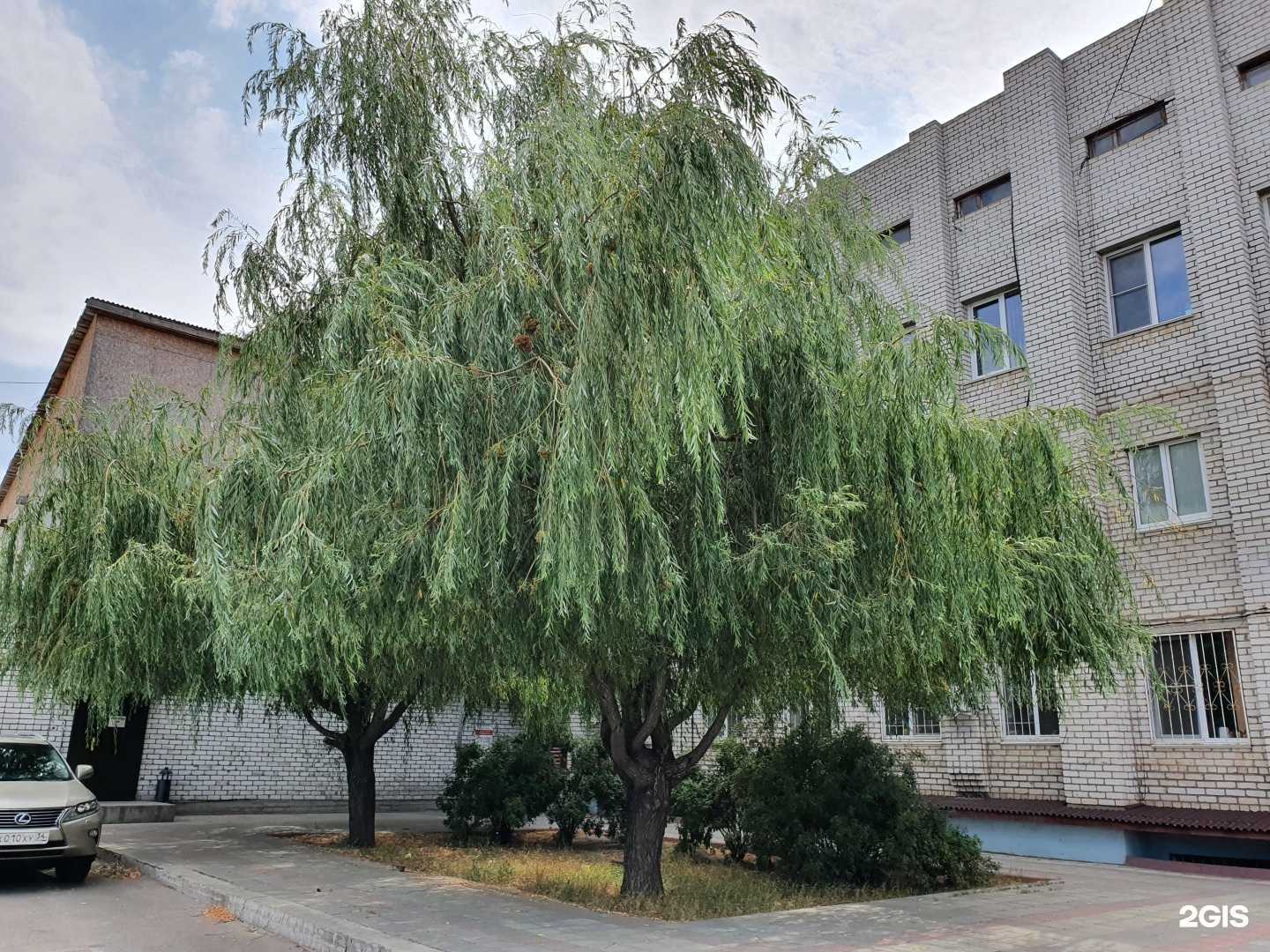 Отзывы на компанию Трак-Стар в Волгограде c фото - фотография 2 из 2