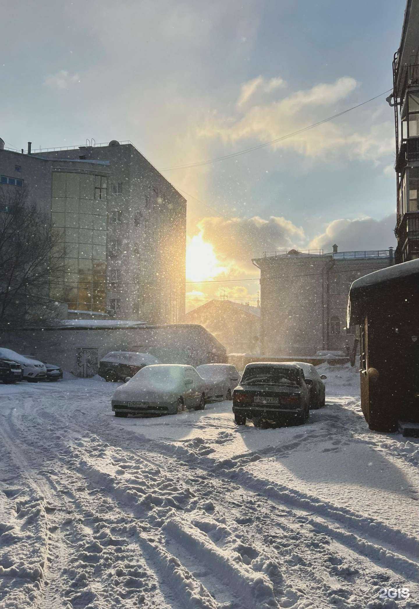 Отзывы на компанию Анатомия в Омске c фото - фотография 2 из 2