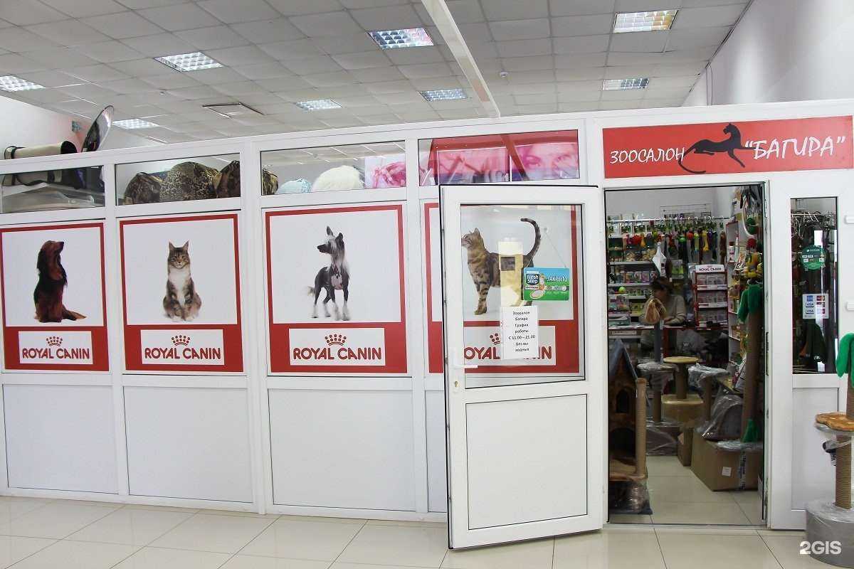 Отзывы на компанию Багира в Уфе c фото