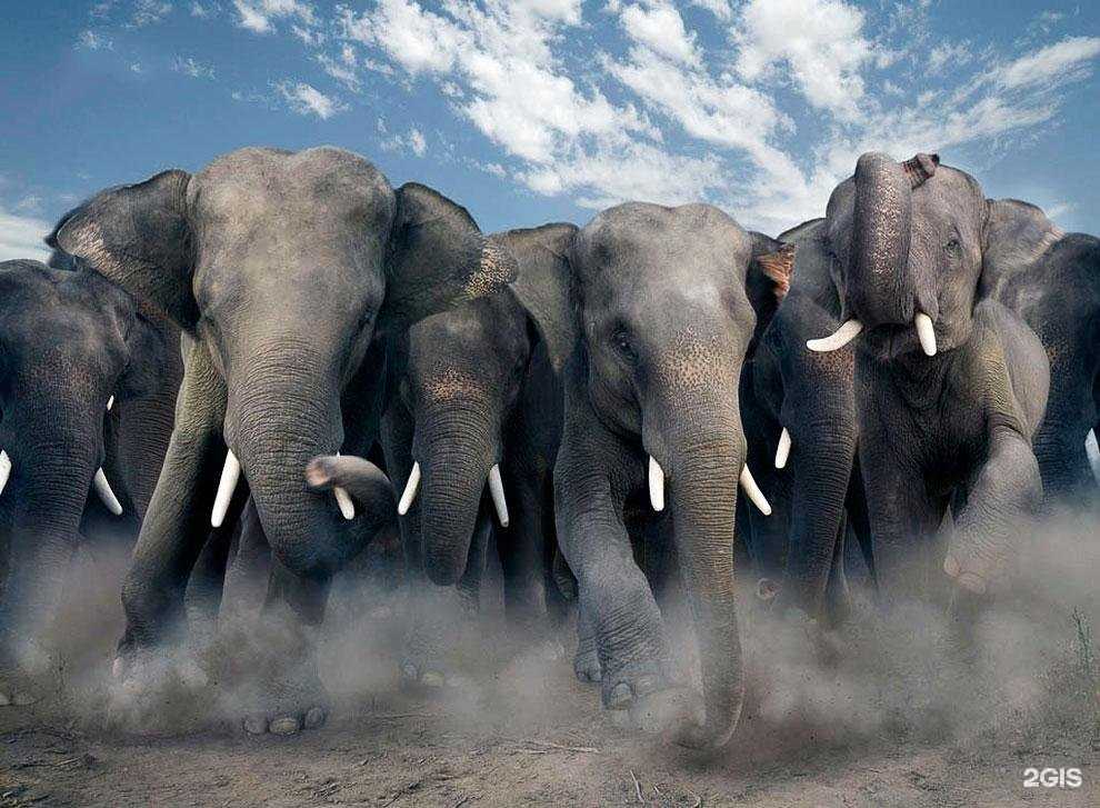 Отзывы на компанию Система растущих продаж в Краснодаре c фото