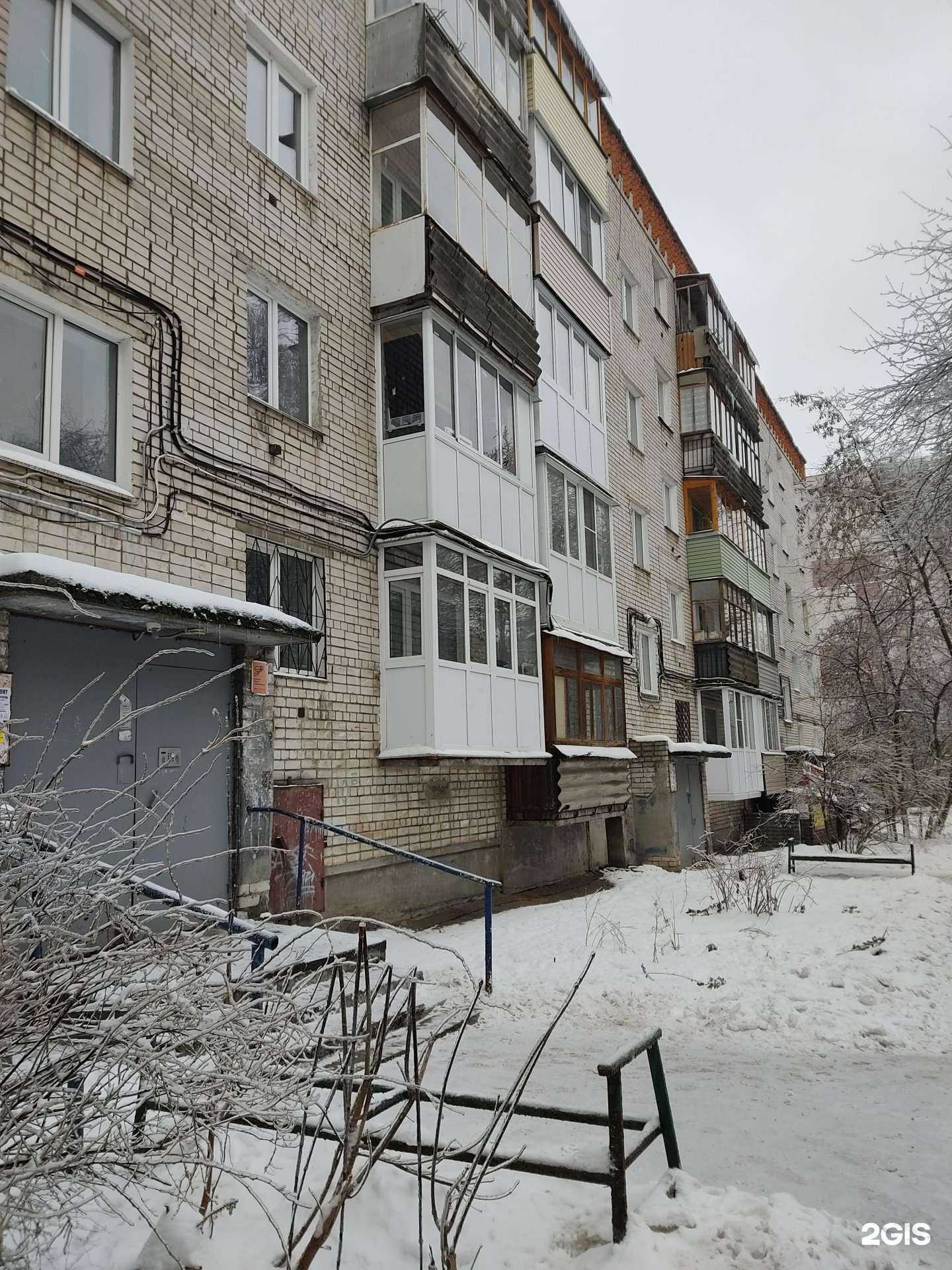 Отзывы на компанию ЗооМир в Нижнем Новгороде c фото - фотография 2 из 2