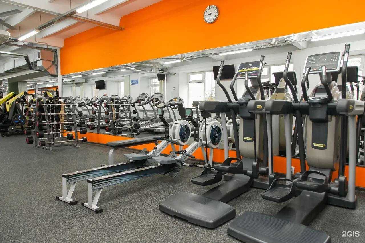 Отзывы на компанию ALEX FITNESS в Перми c фото