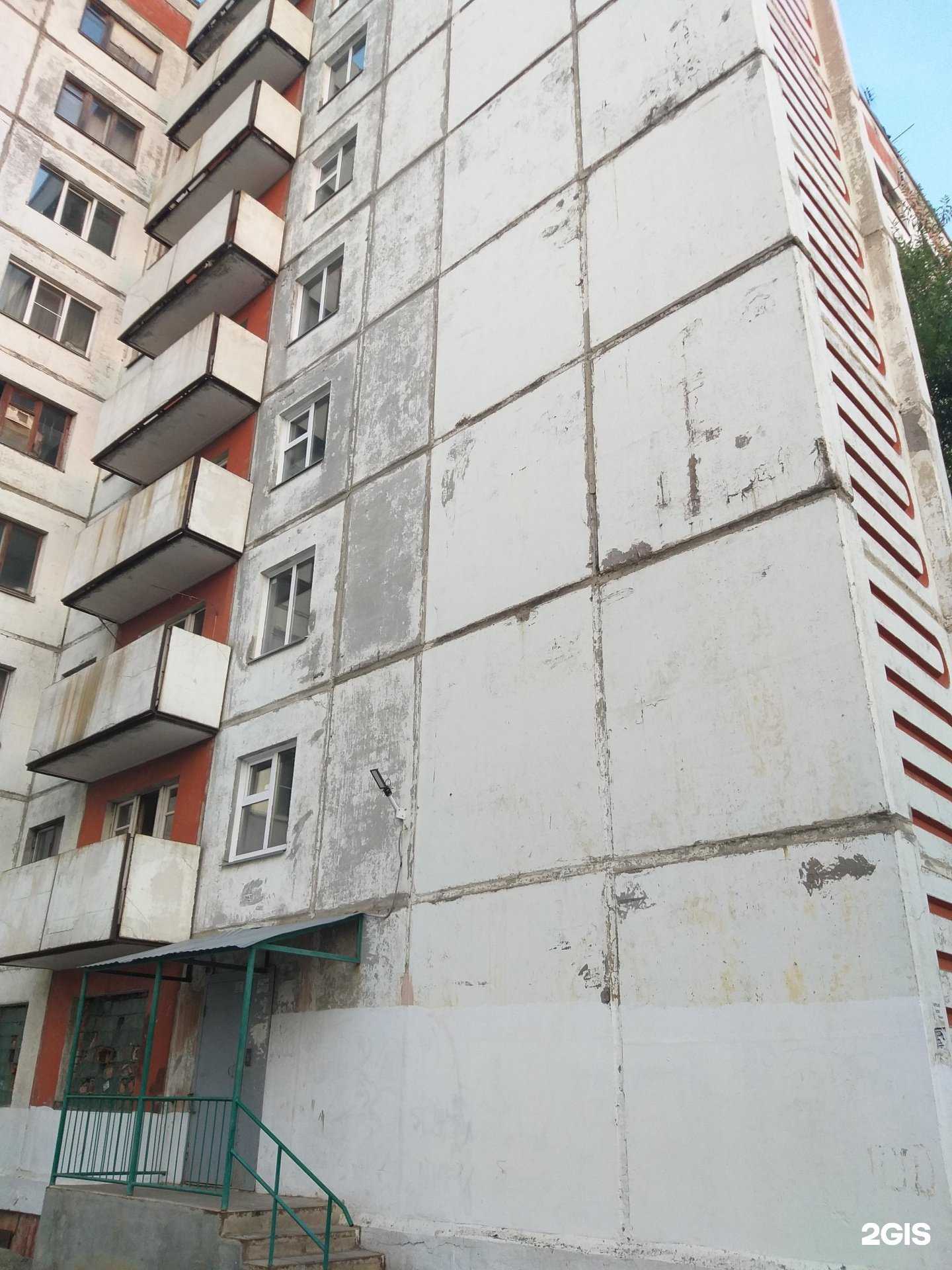 Отзывы на компанию Груминг-салон в Копейске c фото - фотография 2 из 2