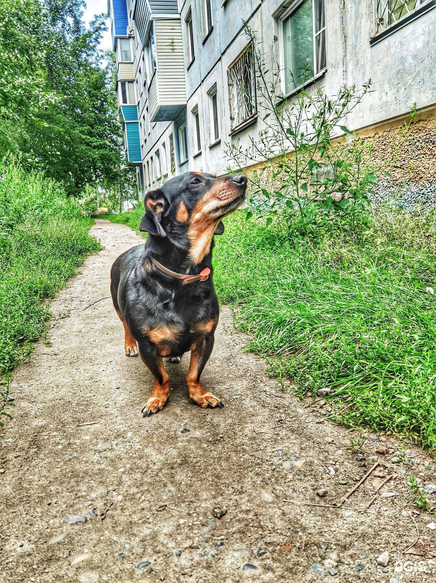 Отзывы на компанию Мастер Дент в Бийске c фото - фотография 2 из 2