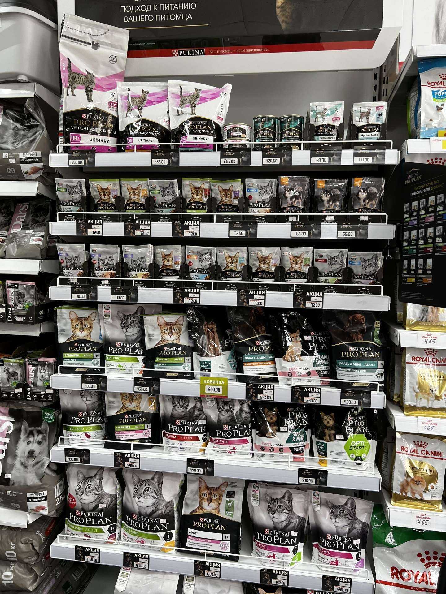 Отзывы на компанию Главное-хвост в г. Туапсе c фото