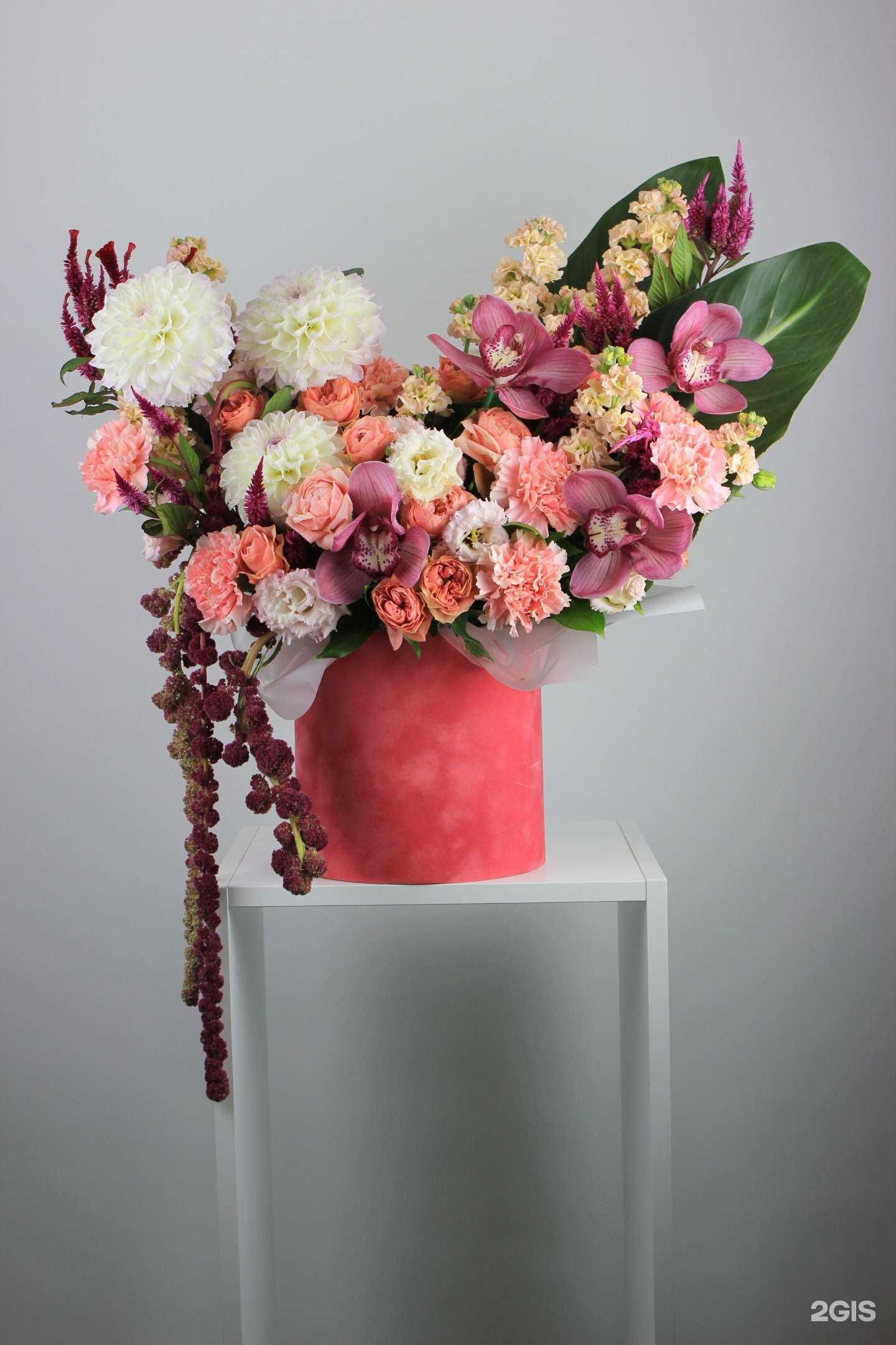 Отзывы на компанию Allure в Краснодаре c фото