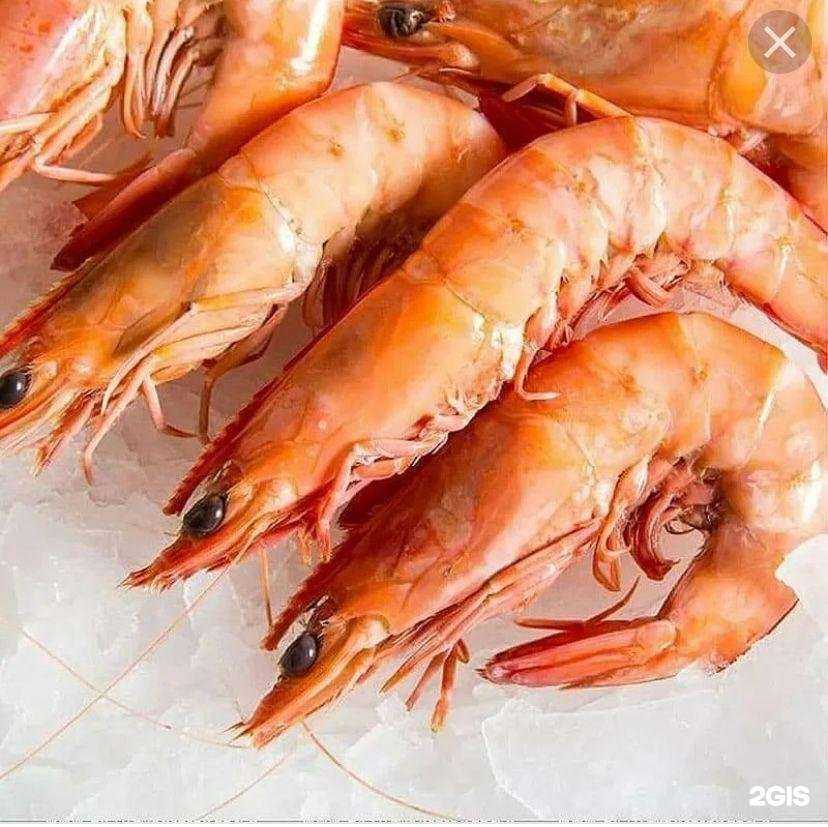 Отзывы на компанию Заходи в Волгограде c фото