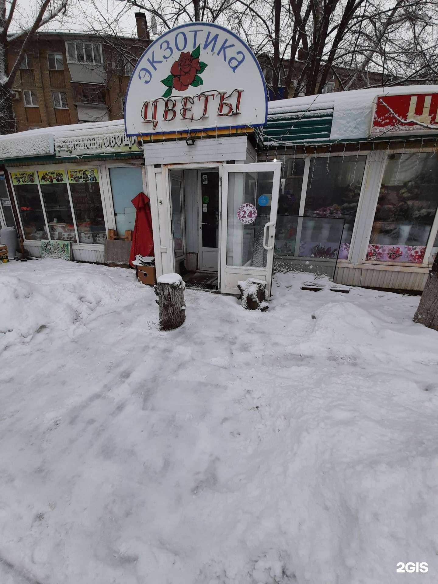 Отзывы на компанию Экзотика в Самаре c фото