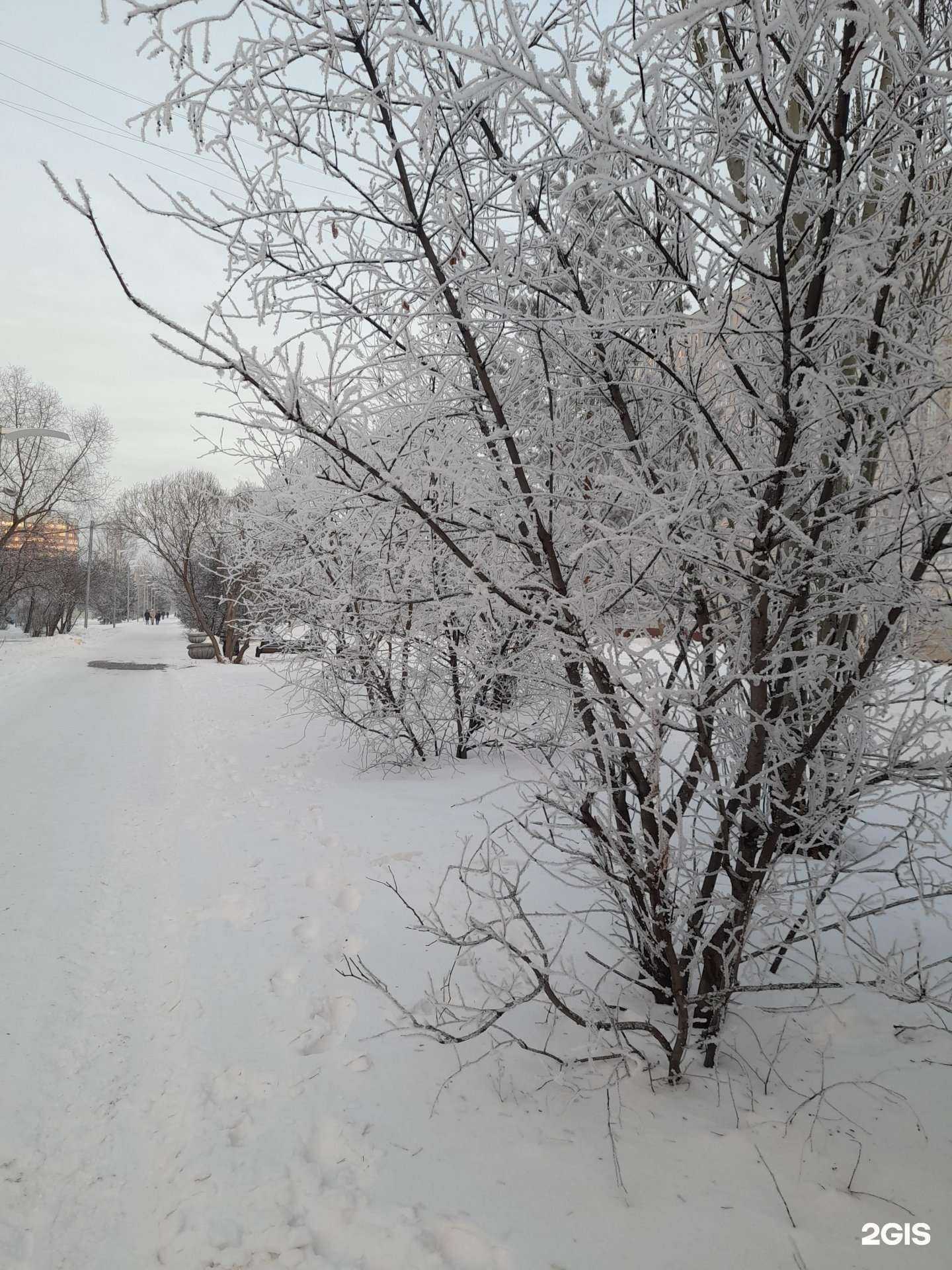 Отзывы на компанию Арктур в г. Омск c фото