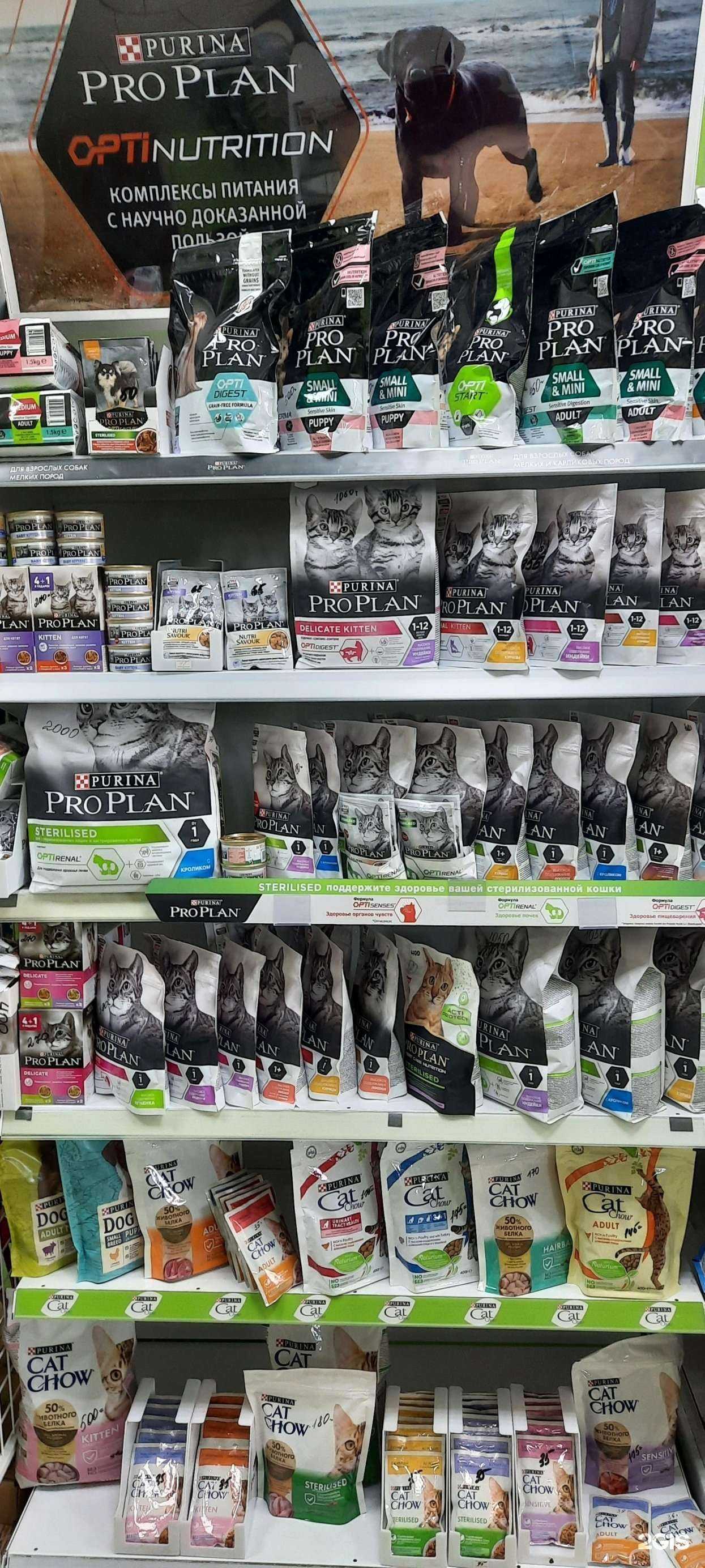 Отзывы на компанию Три кота в г. Ростов-на-Дону c фото