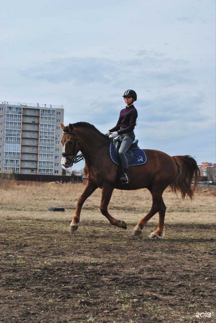 Отзывы на компанию Феникс в Иркутске c фото