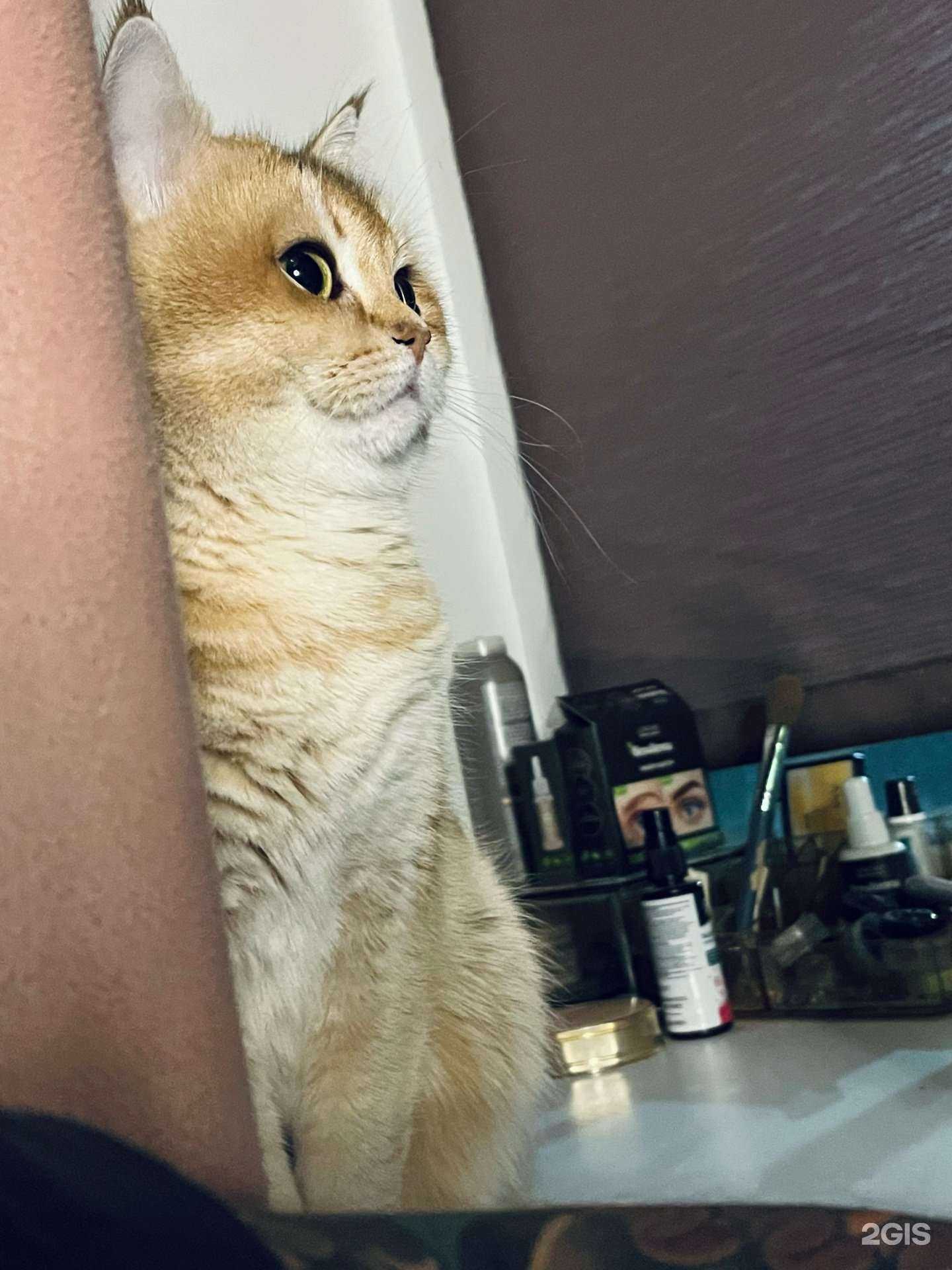 Отзывы на компанию ЗооОптТорг.РФ в Казани c фото