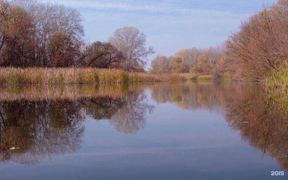 Отзывы на компанию Легион в г. Ростов-на-Дону c фото