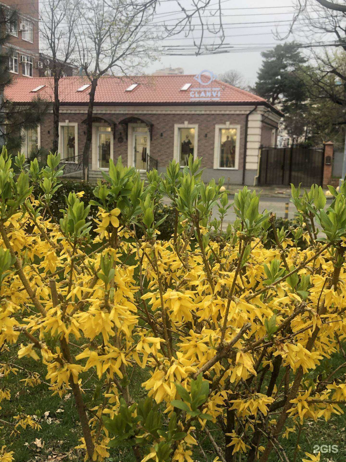 Отзывы на компанию Документъ в Краснодаре c фото - фотография 2 из 2