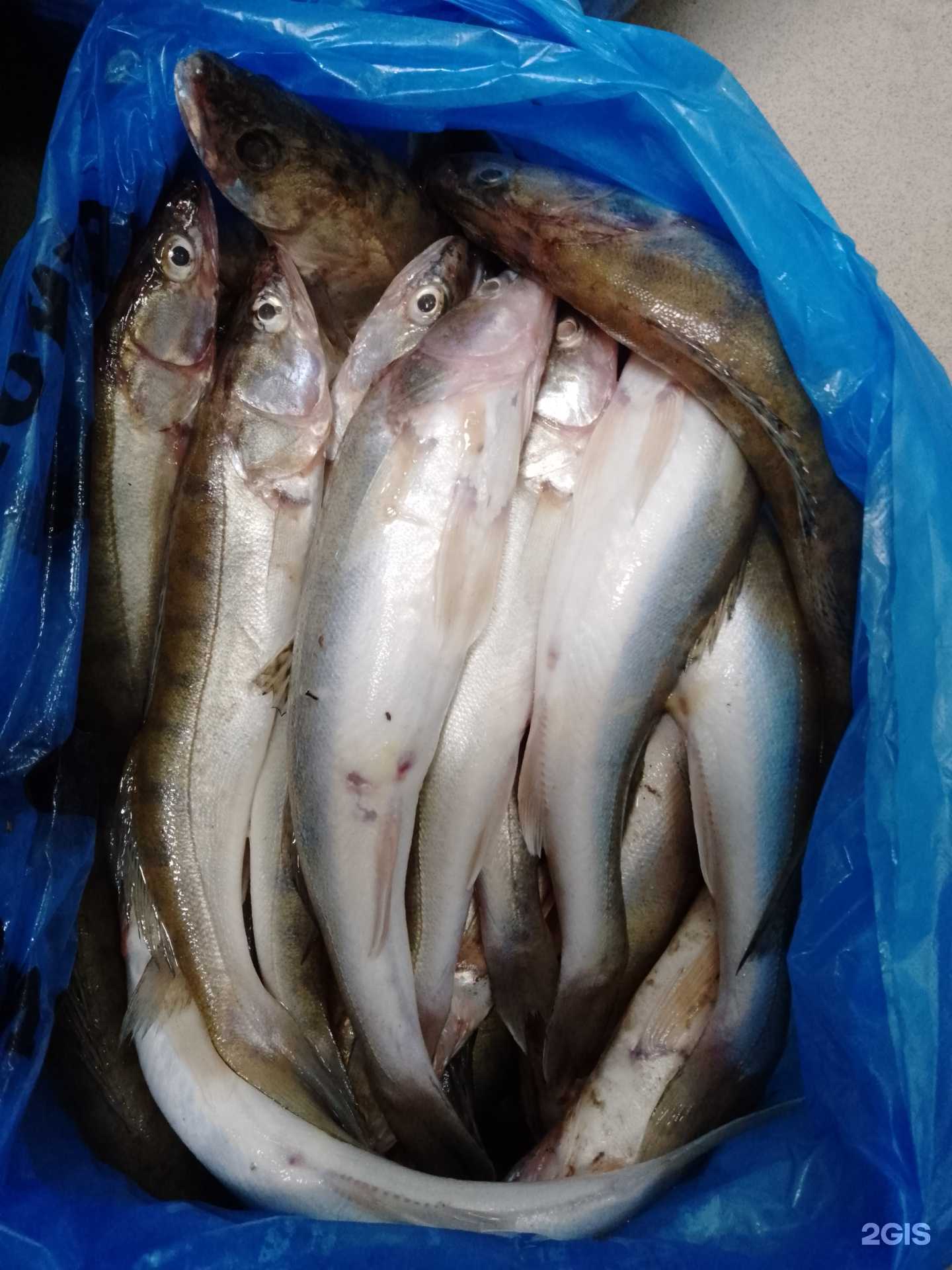 Отзывы на компанию Карасик в г. Новосибирск c фото