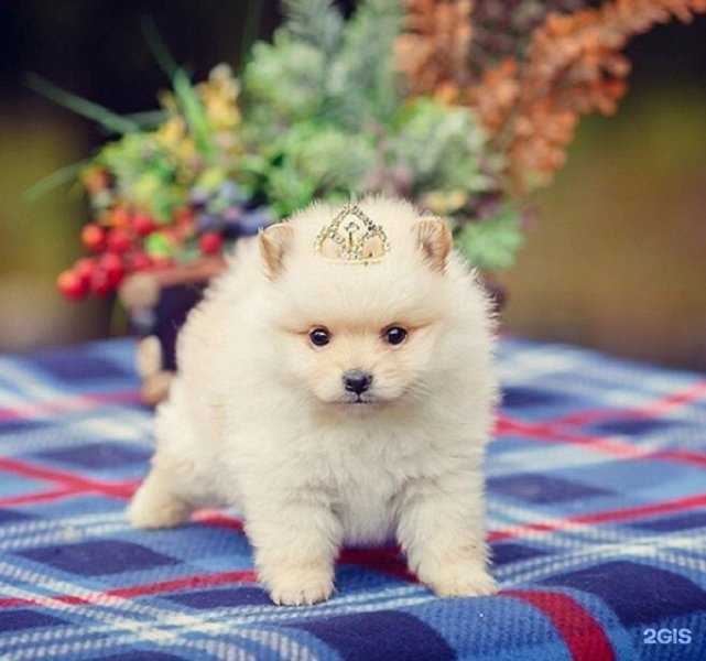 Отзывы на компанию Северо-Западный союз в г. Петрозаводск c фото