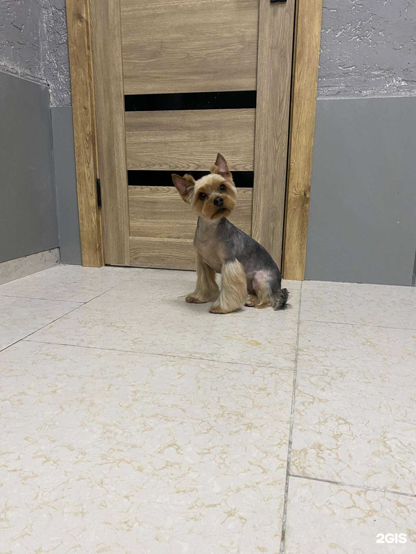 Отзывы на компанию Пан Барон в Сочи c фото